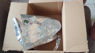 funny dildo unboxing video