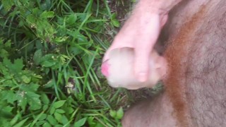 Transparent vagina massages dick while Pipedream cock is stretching asshole - in the forest
