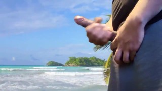 Stuffed Stranded clip * only FANS*