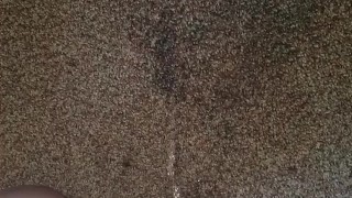 Carpet piss 