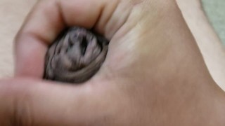 包茎チンポオナニー射精#8　Phimosis cock masturbation ejaculation#8
