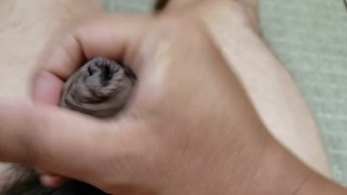 包茎チンポオナニー射精#8　Phimosis cock masturbation ejaculation#8