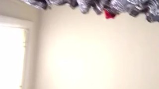 Sneaking a quick nut at family get together in the bathroom