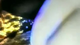 Titty please..