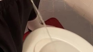 Taking a piss