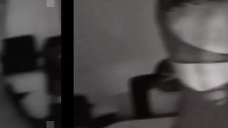 BambiAmbita 2