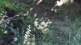 pissing in the forest