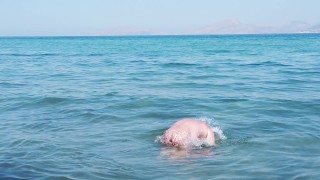 Gay nudist beach swimmer