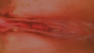 Love playing in my pussy 