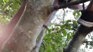 Hot Latina Ebony with Thick Booty Climbing a Tree in Teasing Loose Shorts- Upshots Candid