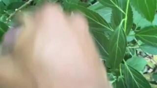 pissing and then jerking off in the woods