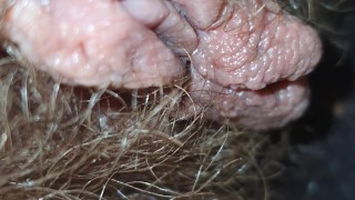 Short pussy 