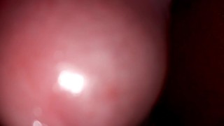 mama na minha mamadeira!