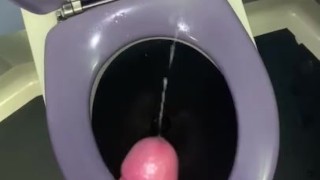 Jerking off in Train Toilets