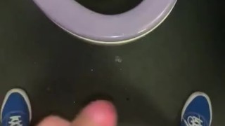 Jerking off in Train Toilets