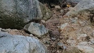 Pee waterfall