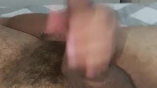 Urso gozando na punheta e falando