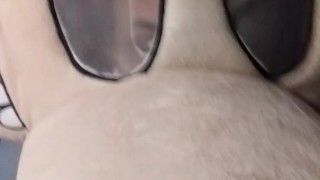 Rockos naked life 