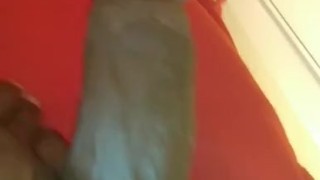 Play with me I'm bored