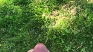 At the park cumming