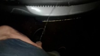 Andy pisst an ein Auto
