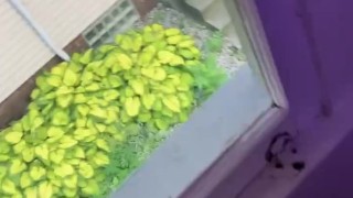 I Hope My Neighbors Like The Morning View 