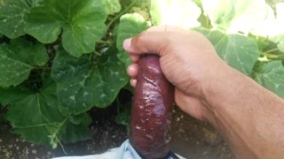 Daddy masturbate cock in the garden