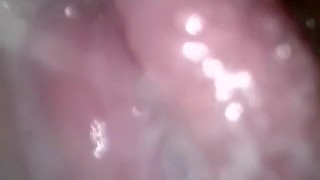 Female Cumming for you