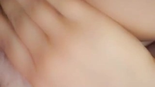 Fat cat pussy
