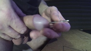 Extreme Cock sounding steel rod, close up shaved