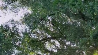 Slutboyben CAM4 Exhibitionism Addicted Porno QUEEN