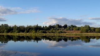 A guy in public pisses and jerks off his cock on the river bank, and a fisherman is fishing nearby