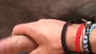 Who will suk my cock until its solid and cums all over