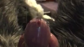 Cute fursuit bunny locked in chastity leaking
