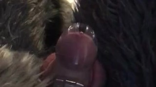 Cute fursuit bunny locked in chastity leaking