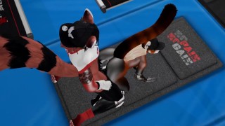 Public Gym Fuck Red Panda Cumflation Breeding - Second Life Yiff