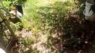 playing in backyard again