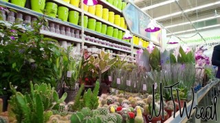 забыла надеть лифчик в магазин прозрачный топ