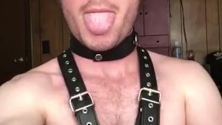 Leather Harness