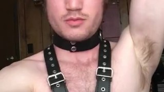 Leather Harness