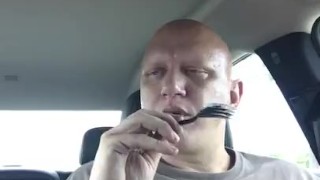 piggy eating cake in car