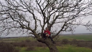 Flashing My Pussy Up In A Tree