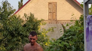 Apples ripen in the garden.