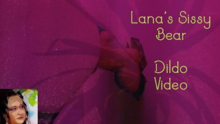 Lanas Sissy Bear Sucks his Butt Dildo Ewww Yucky