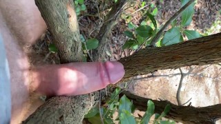 Публично дрочит в лесу о дерево свой член
