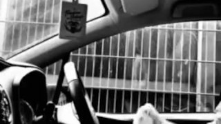 Outdoor cumming in car by cemetery. Public dogging wank and cumshot. Black and white