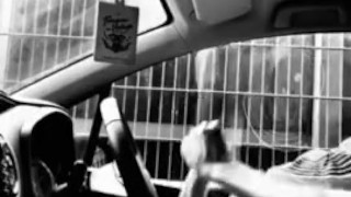 Outdoor cumming in car by cemetery. Public dogging wank and cumshot. Black and white