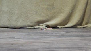 ASMR _ Egg crush ( Bare feet )