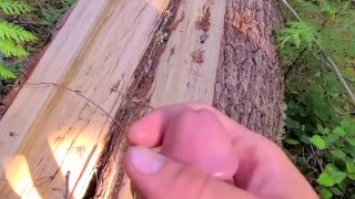 Stopped to cum in the woods