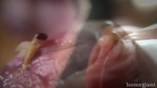 Summer Fun - PREVIEW